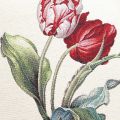 gobelin-tulipany-45x45-cm-poszewka (3).jpg