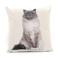 gobelin-kot-ragdoll-45x45-cm-poszewka.jpg