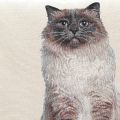 gobelin-kot-ragdoll-45x45-cm-poszewka (3).jpg