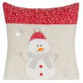 chp_snow_sw_3_40x40sr_czer[P1].jpg
