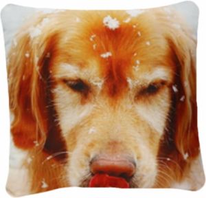 pies foto mikrofibra 40x40 JEDEKA 