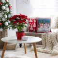 chp_xmas_sw_1_45x45czer[A1].jpg