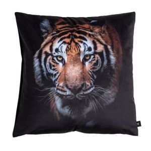wild tygrys poszewka welwetowa dekoracyjna 45x45 CHIC HOME
