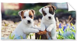 pieski ręcznik bawełniany dla dzieci 70x140 PIES DOGLOVER