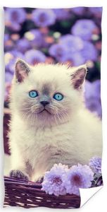 kot ręcznik bawełniany dla dzieci 70x140 CATLOVER