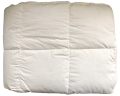 IMG_6781_preview_rev_1.png