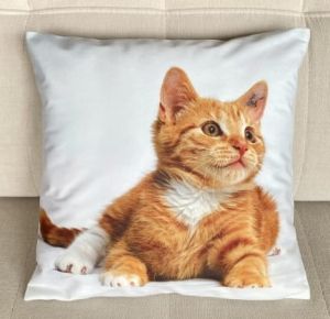 kot poszewka 40x40 drukowana z miękkiego weluru 2 sztuki PA-189