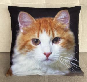 kot poszewka 40x40 drukowana z miękkiego weluru 2 sztuki PA-185