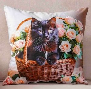 kot poszewka 40x40 drukowana z miękkiego weluru 2 sztuki PA-286