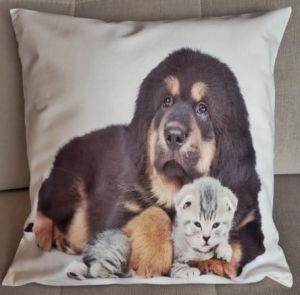 kot i pies poszewka 40x40 drukowana z miękkiego weluru 2 sztuki PA-143