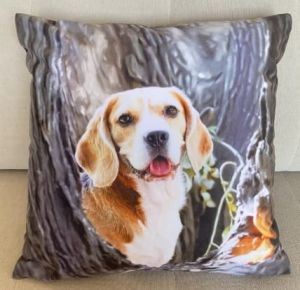 pies poszewka 40x40 drukowana z miękkiego weluru 2 sztuki PA-157