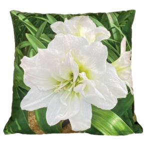 kwiat poszewka 40x40 drukowana z miękkiego weluru 2 sztuki PF-46