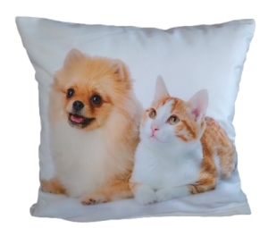 kot i pies poszewka 40x40 drukowana z miękkiego weluru 2 sztuki PA-68