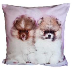 pieski poszewka 40x40 drukowana z miękkiego weluru 2 sztuki PA-145