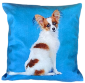 papillon poszewka 40x40 drukowana z miękkiego weluru 2 sztuki PA-241