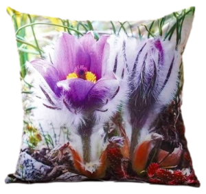 sasanki poszewka 40x40 drukowana z miękkiego weluru 2 sztuki PF-130