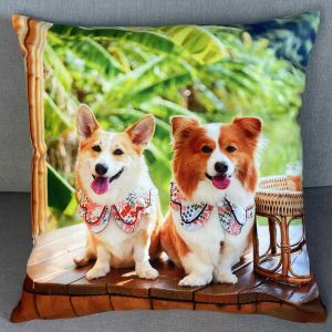 pieski poszewka 40x40 drukowana z miękkiego weluru 2 sztuki PA-249