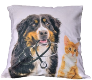 kot i pies poszewka 40x40 drukowana z miękkiego weluru 2 sztuki PA-50