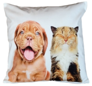 kot i pies poszewka 40x40 drukowana z miękkiego weluru 2 sztuki PA-77