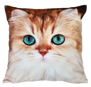 kot poszewka 40x40 drukowana z miękkiego weluru 2 sztuki PA-102