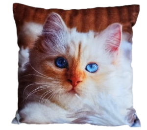 kot poszewka 40x40 drukowana z miękkiego weluru 2 sztuki PA-162