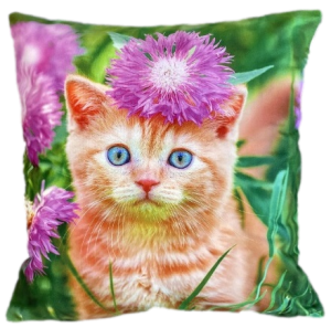 kot poszewka 40x40 drukowana z miękkiego weluru 2 sztuki PA-266