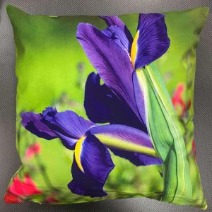 irys poszewka 40x40 drukowana z miękkiego weluru 2 sztuki PF-53