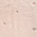 5903571886972[Z1].jpg