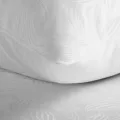 [498254]_[Z3]_pos_ten_tulia3.jpg